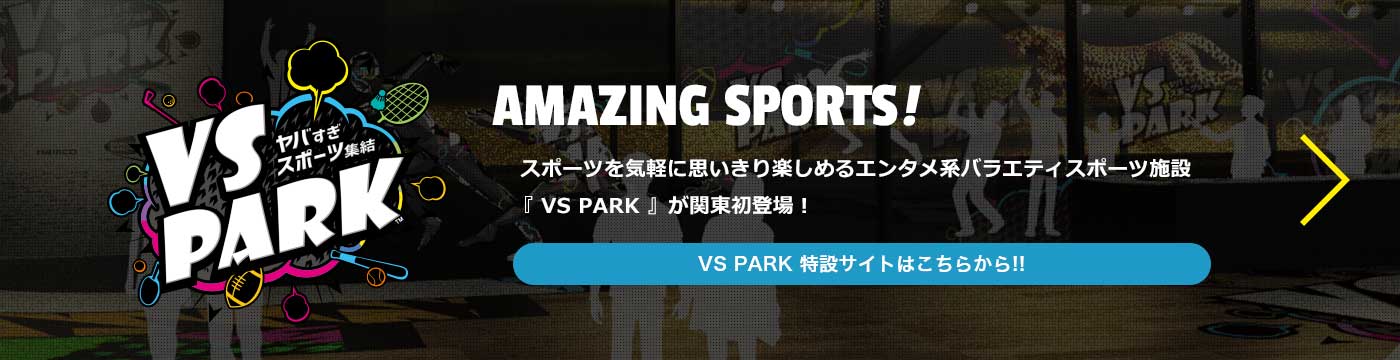 VS PARK 特設サイトはこちら