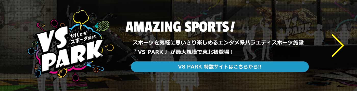 VS PARK 特設サイトはこちら