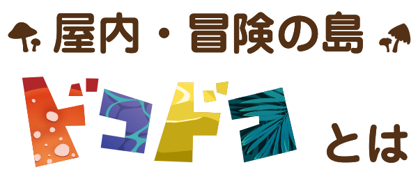 屋内・冒険の島ドコドコとは