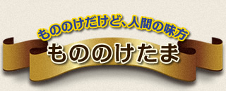 もののけだけど、人間の味方 もののけたま